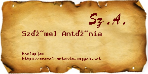 Számel Antónia névjegykártya